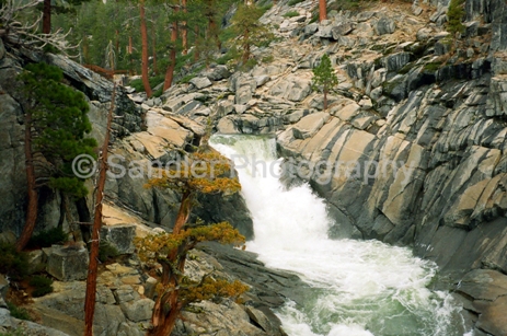 http://www.sandlerphotography.com/Photos/Upper Falls Creek - 4-25-09 -2 -LR.JPG
